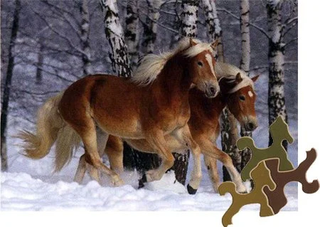 D-TOYS Puzzle Kouzlo koní: Haflingové v zimě 239 dílků