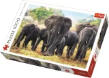 puzzle-africti-sloni-1000-dilku-48745.jpg
