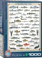 puzzle-sladkovodni-ryby-1000-dilku-170862.jpg