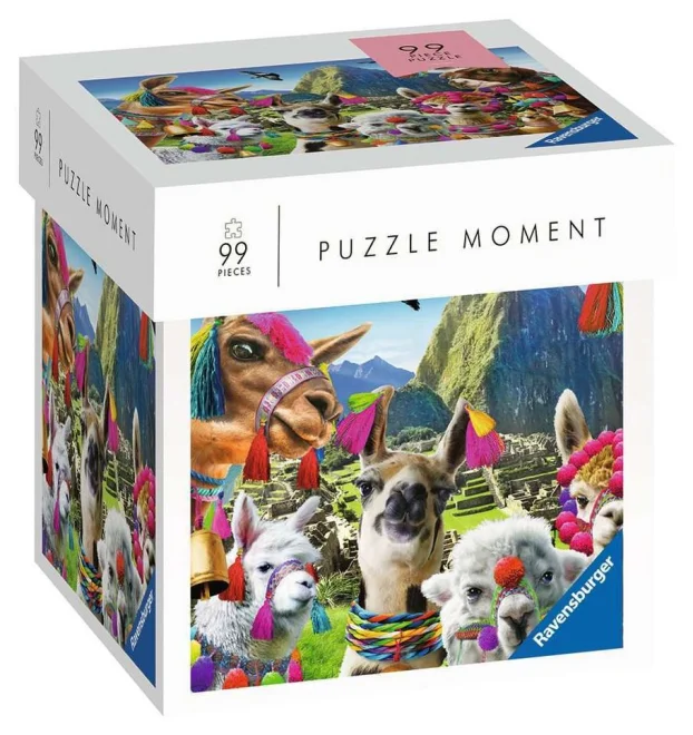 puzzle-moment-lamy-99-dilku-129028.jpg