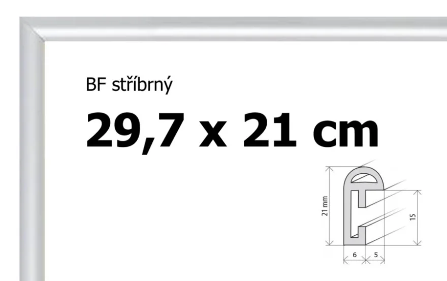 stribrny-plastovy-ram-297x21cm-a4-sklo-44687.jpg