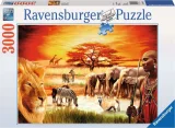 puzzle-savana-hrdi-masajove-3000-dilku-135786.jpg