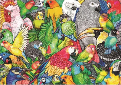 Puzzle Papoušci 500 dílků