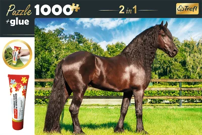 Sada 2v1 puzzle Fríský kůň 1000 dílků s lepidlem