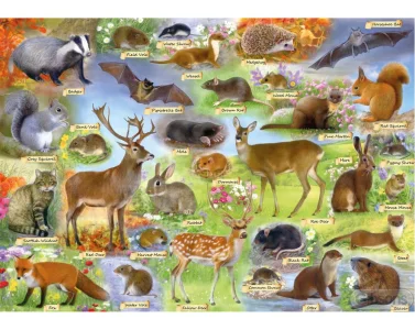 Puzzle Britská divočina 500 dílků