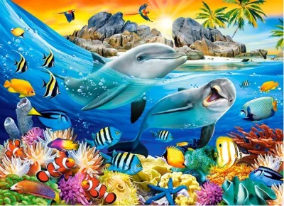 Puzzle Delfíni v tropech 100 dílků