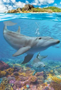 Puzzle Save Our Planet: Delfíni XL 250 dílků