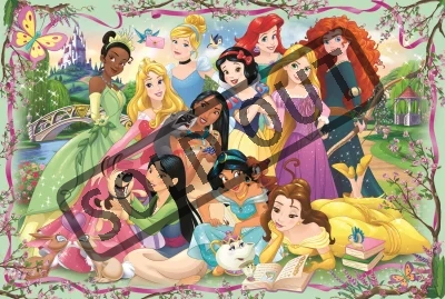 Puzzle Disney princezny: Setkání princezen 260 dílků
