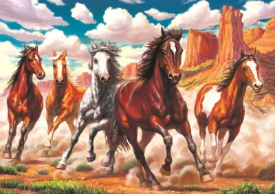 Puzzle Divoké koně v údolí 1000 dílků