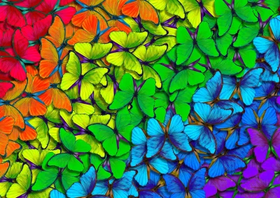 Puzzle Duhoví motýlci 1000 dílků