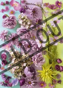 Puzzle Fialové květiny 1000 dílků