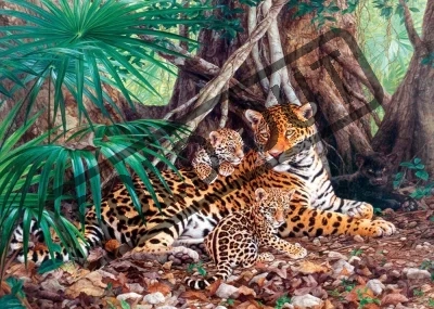 Puzzle Jaguáři v džungli 3000 dílků