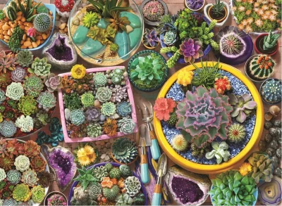 Puzzle Kaktusové květináče 1000 dílků