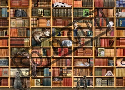 Puzzle Kočičí knihovna 1000 dílků