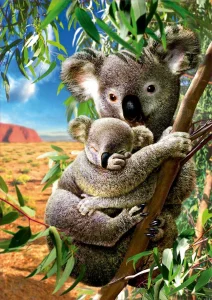 Puzzle Koala s mládětem 500 dílků