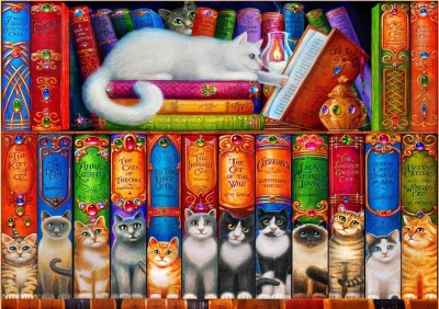 Puzzle Kočičí knihovna 1000 dílků