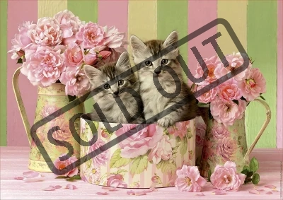 Puzzle Koťata v růžích 500 dílků