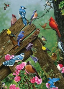 Puzzle Lesní ptáci 1000 dílků
