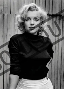 Puzzle LIFE: Marilyn Monroe 1000 dílků