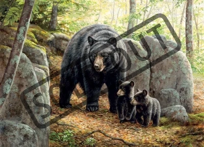 Puzzle Medvědice s mláďaty 1000 dílků