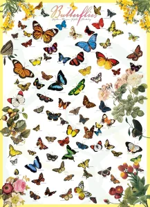 Puzzle Motýli 1000 dílků