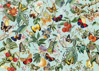 Puzzle Ovoce a motýli 1000 dílků