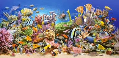 Puzzle Podmořský život 4000 dílků