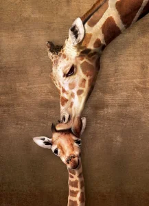 Puzzle Polibek žirafy 1000 dílků