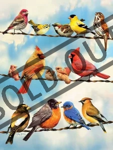 Puzzle Ptáci na drátě 500 dílků