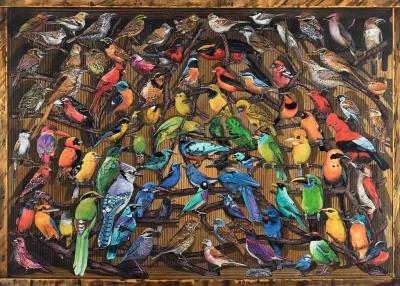 Puzzle Ptáci světa 1000 dílků