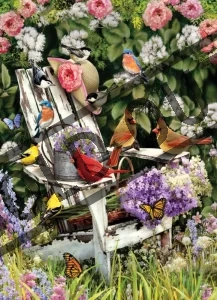 Puzzle Ptáci z Adirondackého pohoří v létě 1000 dílků