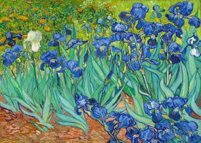 Puzzle Vincent Van Gogh: Kosatce 1000 dílků