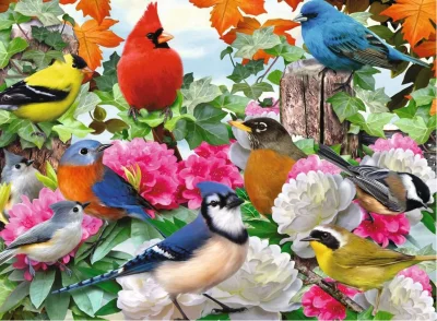Puzzle Zahradní ptáci 500 dílků