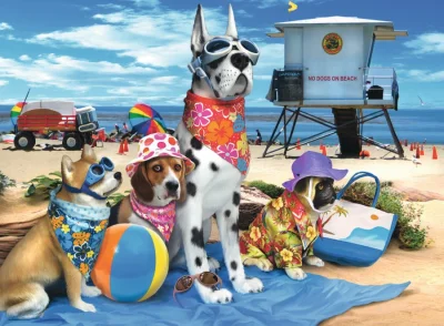 Puzzle Zákaz psů na pláži XXL 100 dílků