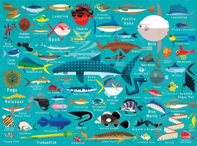 Puzzle Život v oceánu 1000 dílků