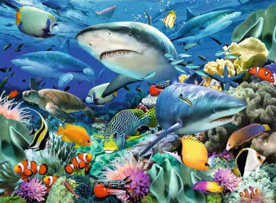Puzzle Žraločí útes XXL 100 dílků
