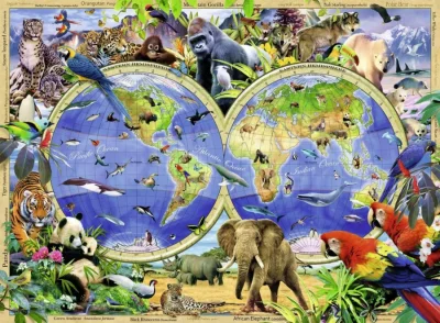 Puzzle Svět divokých zvířat XXL 300 dílků