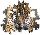 puzzle-chuze-jaguara-1000-dilku-232706.jpg