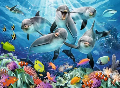 Puzzle Delfíni u korálového útesu 500 dílků