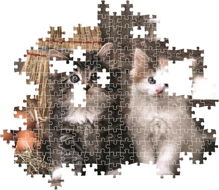 puzzle-roztomila-kotata-1000-dilku-232687.jpg