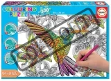 colouring-puzzle-kolibrik-300-dilku-117597.jpg