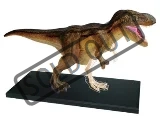 anatomicky-4d-model-t-rex-35117.jpg