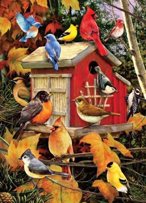 puzzle-podzimni-ptaci-1000-dilku-37688.jpg
