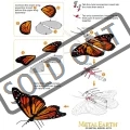 3d-puzzle-motyl-monarcha-stehovavy-38542.jpg