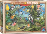 puzzle-ptaci-v-zahrade-1000-dilku-170563.jpg