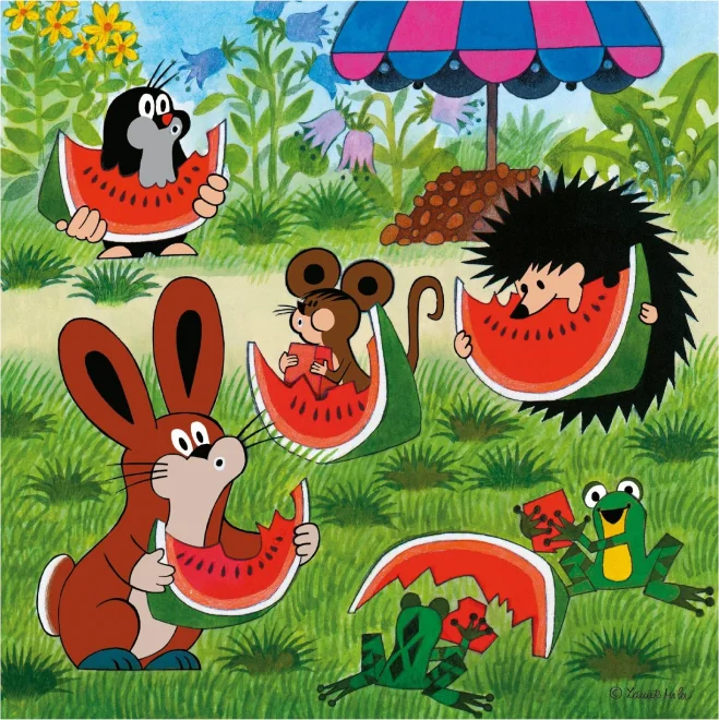 Dino Puzzle Krtko a dáždnik 3x55 dielikov