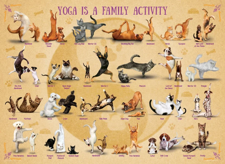 puzzle-joga-je-rodinna-aktivita-xl-500-dilku-170378.jpg