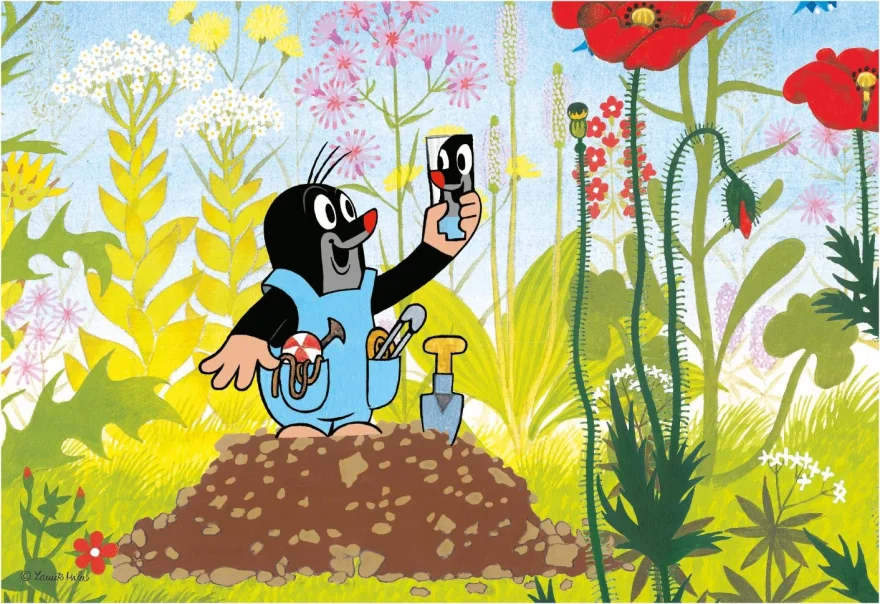 Dino Puzzle Krtko v nohavičkách 24 dielikov