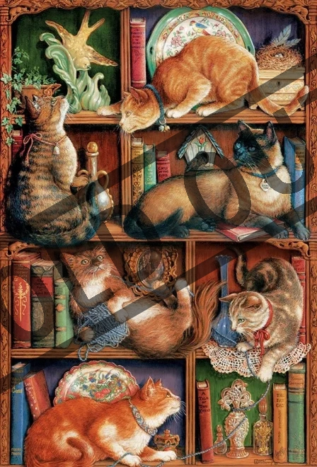 puzzle-kocici-knihovna-2000-dilku-48217.jpg