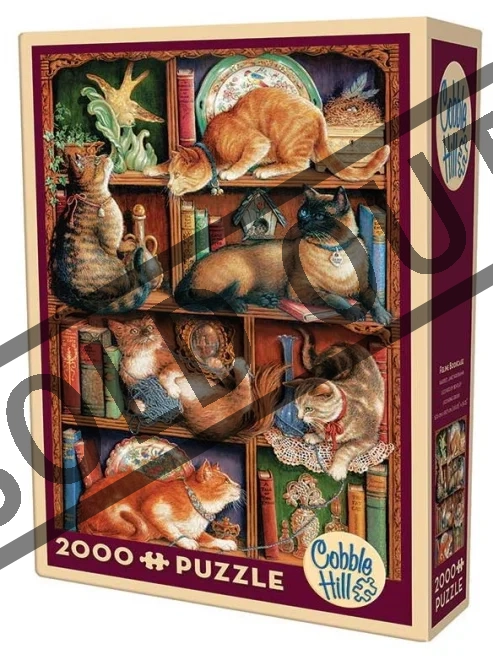puzzle-kocici-knihovna-2000-dilku-48218.jpg
